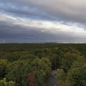 Vue sur une forêt décidue dans le parc jusqu'à l'horizon en soirée avec des nuages.
