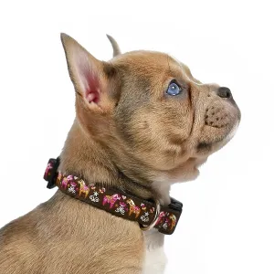 Side view of dog puppy modelling a pet collar in front of white studio background