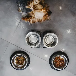 Top view of a dog sitting near food bowls on a tile floor Top view of a dog sitting near food bowls on a tile floor