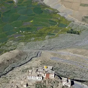 View of fields and the Buddhist Ki or Key Monastery or Gompa