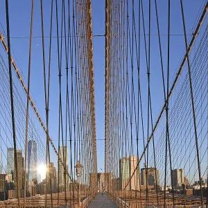 View in flight from cable stays of the Brooklyn Bridge View in flight from cable stays of the Brooklyn Bridge