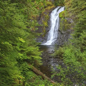 A view through the forest at Beaupre Falls in British Columbia A view through the forest at Beaupre Falls in British Columbia