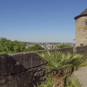 View from a fortress wall over an urban landscape with palm trees in the foreground