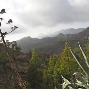 View of hilly landscape with green trees under cloudy sky View of hilly landscape with green trees under cloudy sky