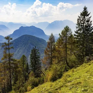 View from Hochbuehel to Schwarzer Berg