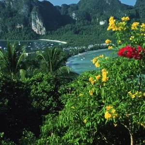 View of the island from the viewpoint one year in front of the tsunami