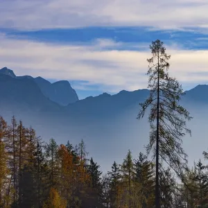 View from the Moosegg high plateau to the Tennengebirge mountains