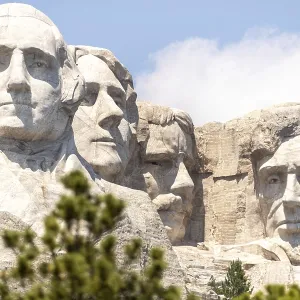 View of Mount Rushmore with small trees in the foreground