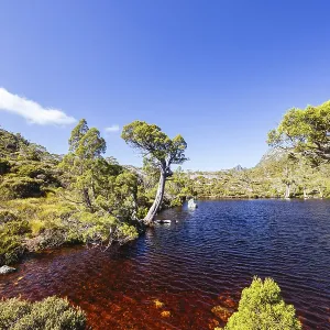 The view of mountain landscape around Wombat Pool on the Overland Track on a warm autumn morning in Cradle Mountain The view of mountain landscape around Wombat Pool on the Overland Track on a warm autumn morning in Cradle Mountain
