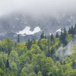 View into the mountains next to Lake Offensee on a rainy day in spring