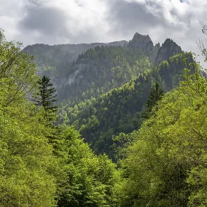 View into the mountains next to Lake Offensee on a rainy day in spring View into the mountains next to Lake Offensee on a rainy day in spring
