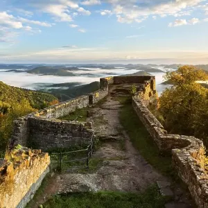 View of the Palatinate Forest from Wegelnburg Castle