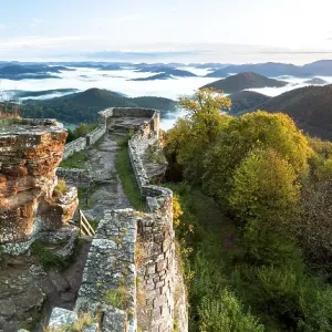 View of the Palatinate Forest from Wegelnburg Castle