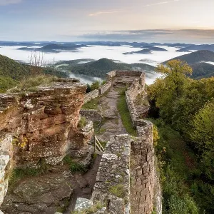 View of the Palatinate Forest from Wegelnburg Castle View of the Palatinate Forest from Wegelnburg Castle