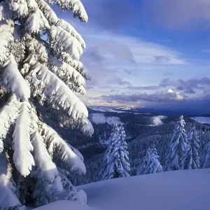 View from the Seebuck on the snow covers South Black Forest View from the Seebuck on the snow covers South Black Forest
