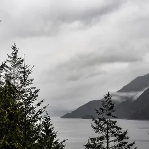 A view of a serene lake surrounded by trees A view of a serene lake surrounded by trees