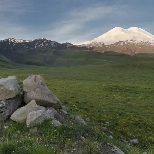 Mount Elbrus Print - Snow-Covered Peak with Green Fields