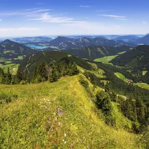 View from the summit of the Faistenauer Schafberg to Lake Fuschlsee