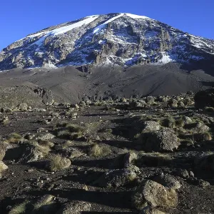 View to the summit of Mount Kilimanjaro Print, Tanzania