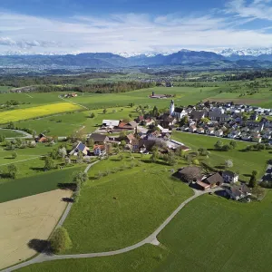 View of town with field of blooming rapeseed