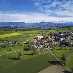 View of town with field of blooming rapeseed
