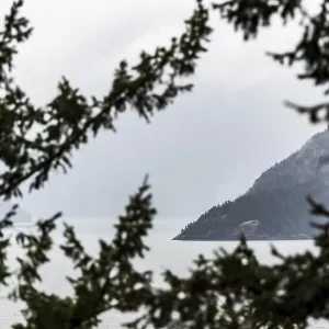 View through tree branches of water
