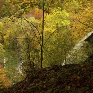 View of Urach waterfall in autumnal forest View of Urach waterfall in autumnal forest