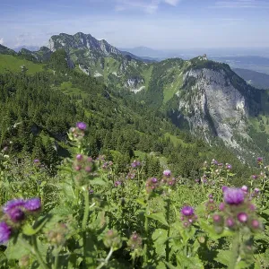 View from the Vorderer Kirchstein to the Achselkoepfe and the legendary Benediktenwand View from the Vorderer Kirchstein to the Achselkoepfe and the legendary Benediktenwand