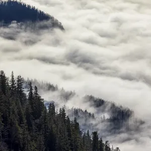 View from Vormauerstein of a sea of fog on Lake Wolfgang