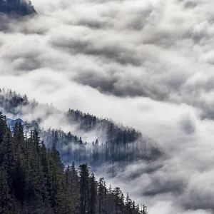 View from Vormauerstein of a sea of fog on Lake Wolfgang