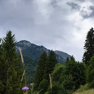 View of the Wendelstein with green trees and cloudy sky View of the Wendelstein with green trees and cloudy sky