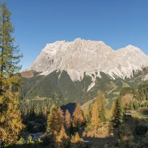View of the Zugspitze, autumn colouring with yellow larches
