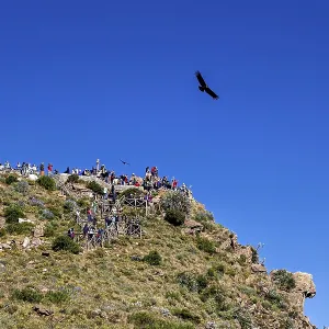 Viewpoint on a green rock with people watching the sky while birds fly Viewpoint on a green rock with people watching the sky while birds fly