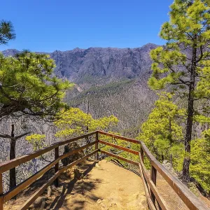 Viewpoint Lomo de las Chozas in La Cumbrecita on the island of La Palma next to the Caldera de Taburiente Viewpoint Lomo de las Chozas in La Cumbrecita on the island of La Palma next to the Caldera de Taburiente