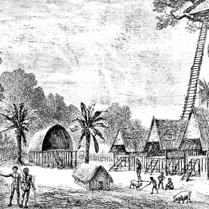 Village on the island of New Guinea