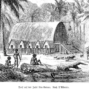 Village on the island of New Guinea