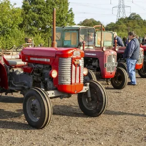Vintage Massey Ferguson tractors at auction sale of vintage farming equipment Vintage Massey Ferguson tractors at auction sale of vintage farming equipment