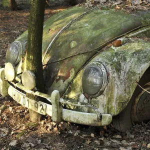 Vintage VW Beetle standing in a forest