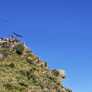 Visitors gather on a rocky viewpoint and watch birds in the clear sky Visitors gather on a rocky viewpoint and watch birds in the clear sky