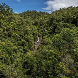 Voimana rainforest in eastern Madagascar