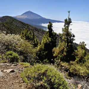 Volcanic landscape, behind volcano Pico del Teide above trade wind clouds Volcanic landscape, behind volcano Pico del Teide above trade wind clouds