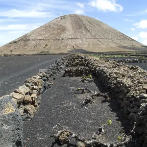 Volcano cone and black volcanic soil farmland