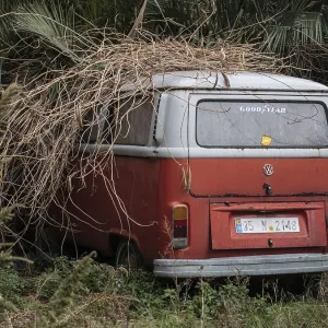 Volkswagen, VW, Bulli, Transporter