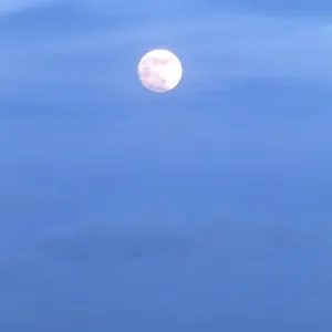 Vollmond am Meer