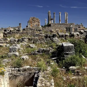 Volubilis Basilica and Capitol Print, Morocco