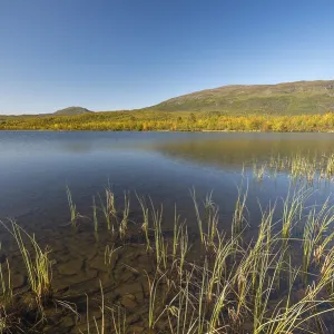 Vuolio Njahkajavri lake, Abisko National Park Vuolio Njahkajavri lake, Abisko National Park