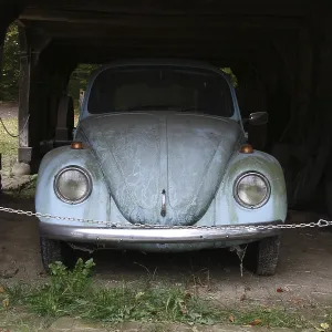 VW Beetle barn find VW Beetle barn find