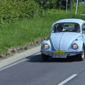 VW Beetle in Wachau Valley Print