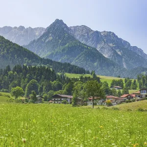 Walchsee, flower meadow and Zahmer Kiaser mountain range