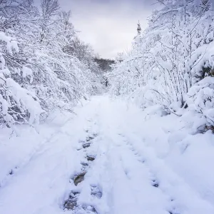 Walk through the snowy winter forest in the German low mountain range Walk through the snowy winter forest in the German low mountain range